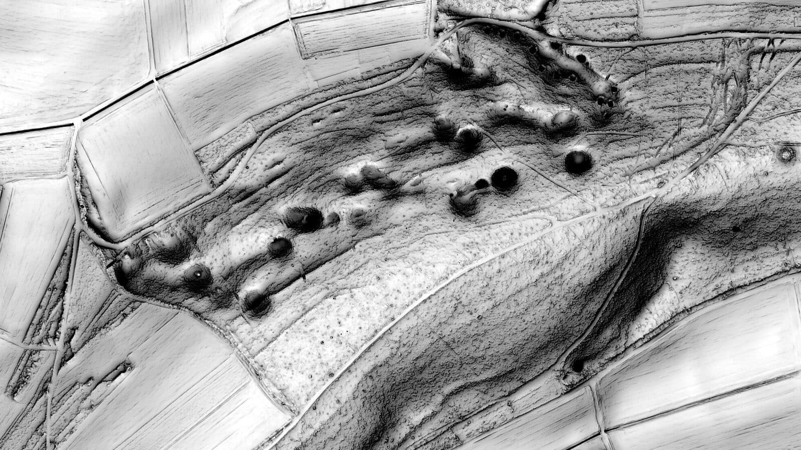 Reliefvisualisierung aus offenen Laserscan-Daten: bewaldeter Höhenrücken mit Bodenstrukturen, berechnet aus einem Digitalen Geländemodell