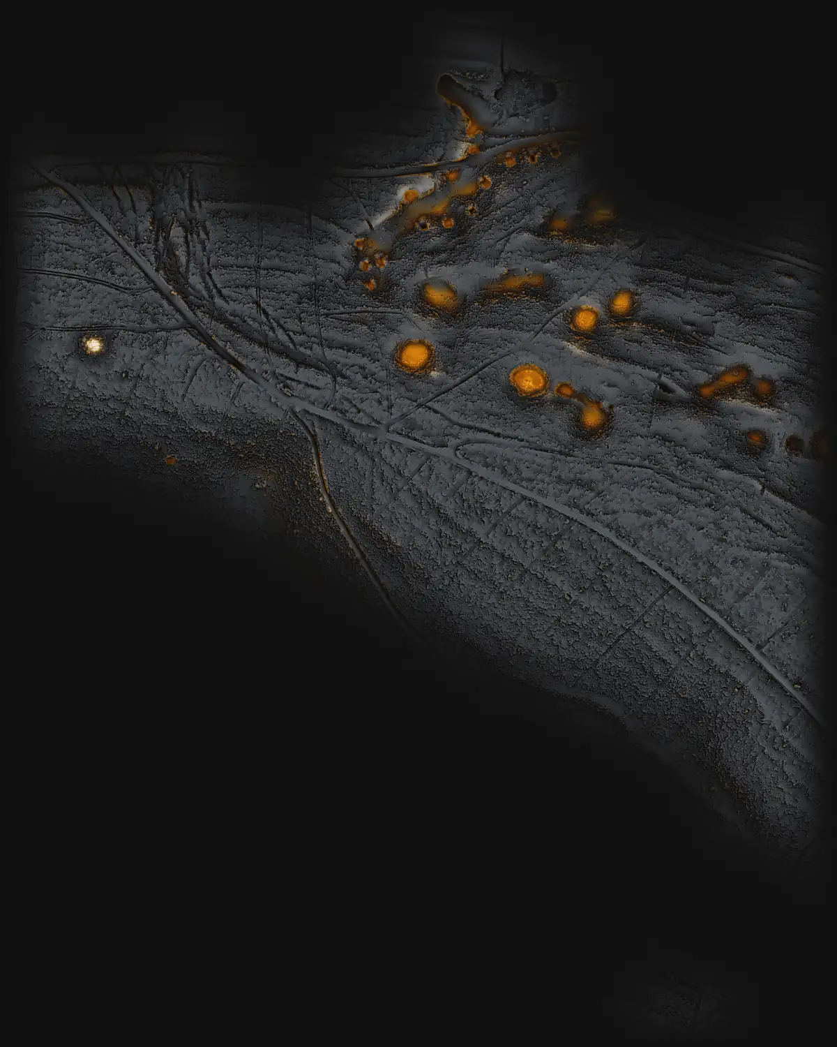 Terrain model of a woodland with marked hollows and a round mound